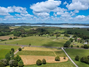 Gorgeous Land, Marvellous Native Trees