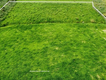 2 acres of rural bliss