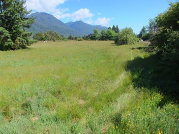 Image 1 of 13