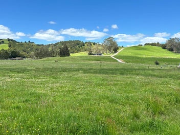 Image 1 of 19