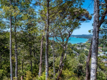 Build Your Dream Home at Tree Tops, Paihia