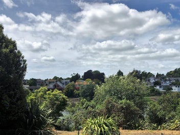 Image 1 of 12