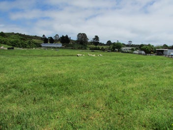 1.611 Hectares - Fabulous Lifestyle Block