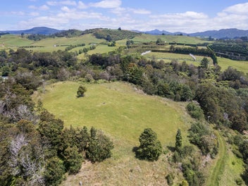 Pony, Paddocks, and a Place to Call Home