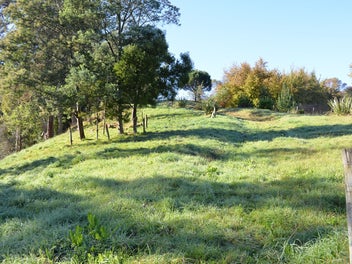 Image 1 of 7