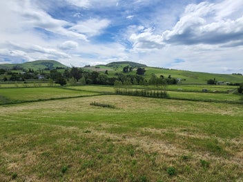 Welcome to Waikouaiti