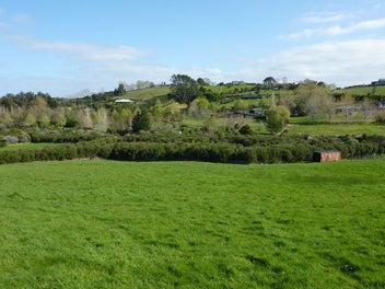 Prime Lifestyle in Matakana - A Must See!