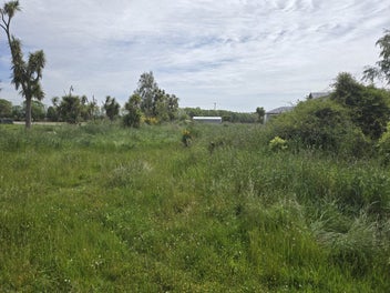 Prime flat sections in the Heart of Kaitangata