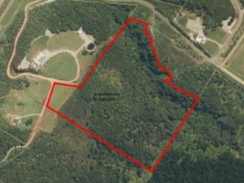 Eco-Friendly Lifestyle Opportunity