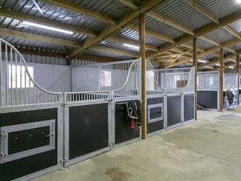 Equestrian Dreams in the Heart of Taupo Lifestyle