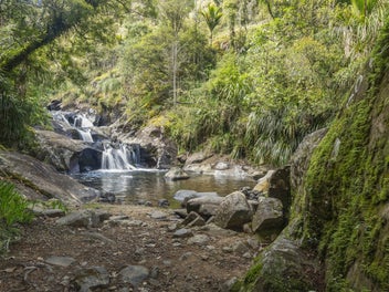 Rapaura Watergardens Seeking New Guardian