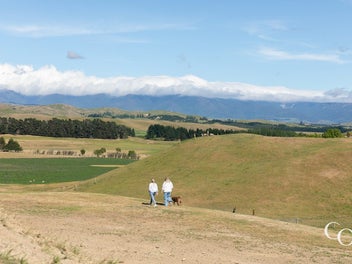 Scenic Serenity on Salisbury
