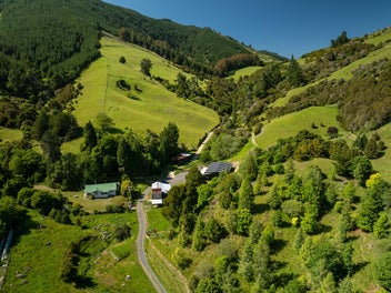 Image 1 of 41