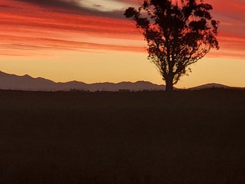 Wow Look at This - 4 Hectares