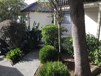 Image 1 of 12