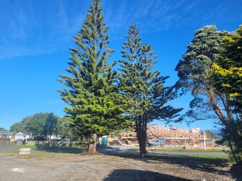 Prime Corner Section in the Heart of Hokitika