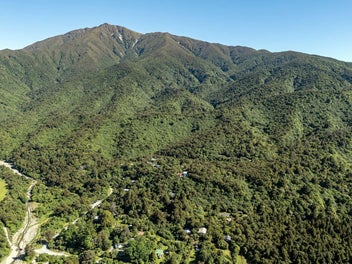 Peel Forest Paradise