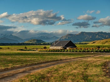 Rural Bliss.