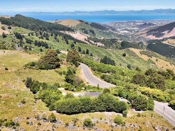 Image 1 of 36