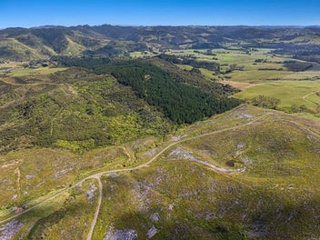 Tuhirangi Heights: Your Gateway to Rural Bliss