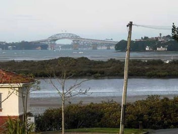 Image 1 of 20