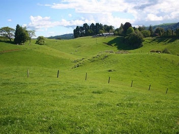 Image 1 of 14