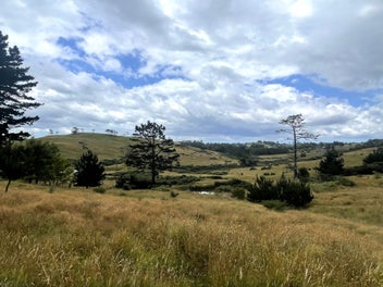 Sun-Kissed 1 Ha Block with Idyllic Valley Views!