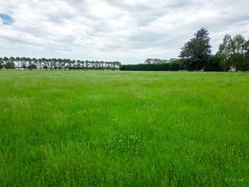 Rural living on a quarter acre!