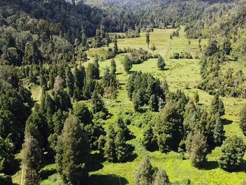 Image 1 of 11