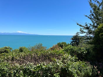 Privacy & Views