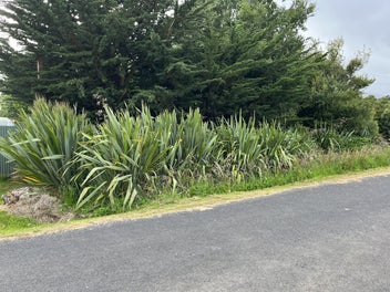 Waitati Section