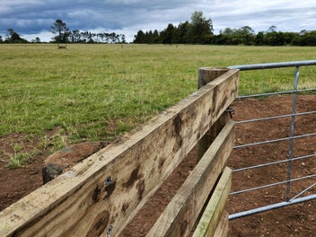 $290,000 for a Country Section!