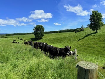 Top Quality Bare Land