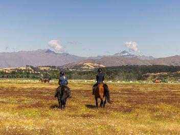 Dream Lifestyle in Hawea Flat