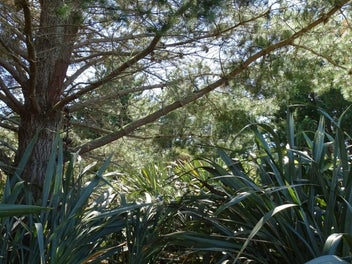 Waitarere Beach - exceptional lifestyle section