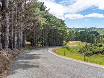 Aurelian Estate: Agent on Site Sat 15 Feb 3-3.40pm