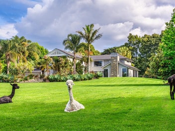 Hamptons Haven: Luxury Living on Four Acres