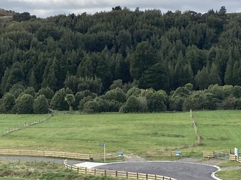 Image 1 of 11