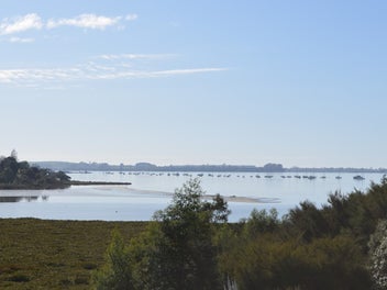 Introducing Lynley Park - Omokoroa Peninsula!