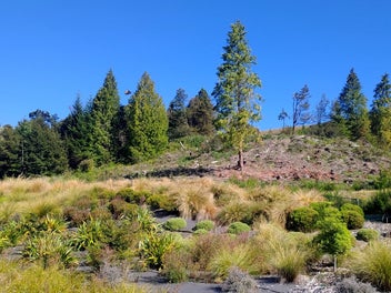 28 Luge Loop, Castle Hill land