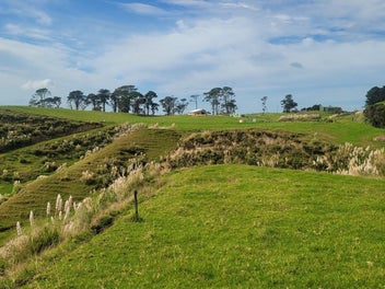 Image 1 of 25