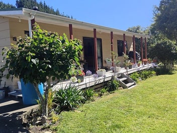 Image 1 of 37