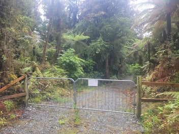 Native Bush Hideaway in Franz Josef