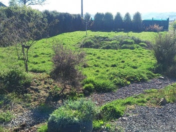 Majestic Views From This 809m2 Section In Ohai.