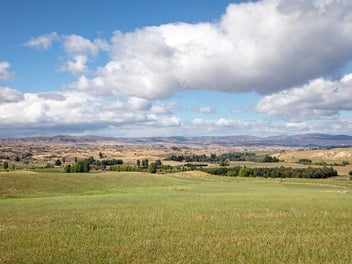 Image 1 of 19
