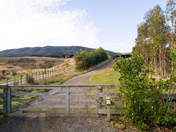 THE LAST LIFESTYLE BLOCK IN COUNTY HEIGHTS