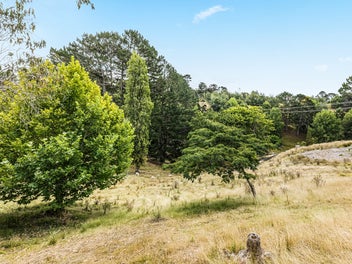 Big Land, Bigger Potential