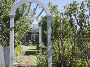 Image 1 of 46