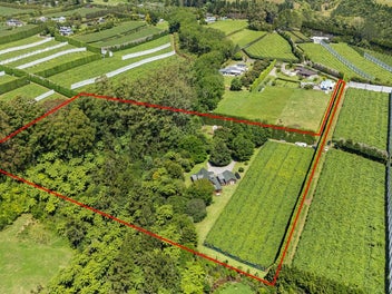 Golden kiwi investment