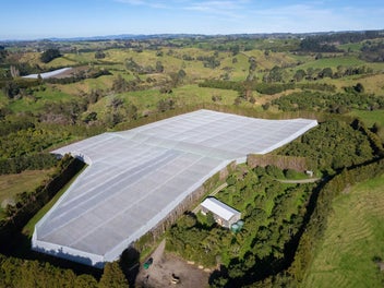 48 Hectares with Horticulture and Grazing